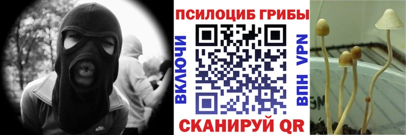 Псилоцибиновые грибы Magic Shrooms  Княгинино 